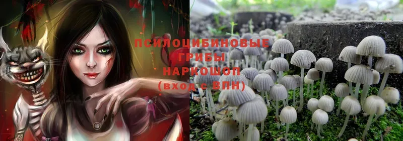 Галлюциногенные грибы Magic Shrooms Златоуст